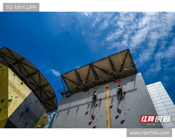 武汉攀岩队的训练节奏与发展趋势深度解析