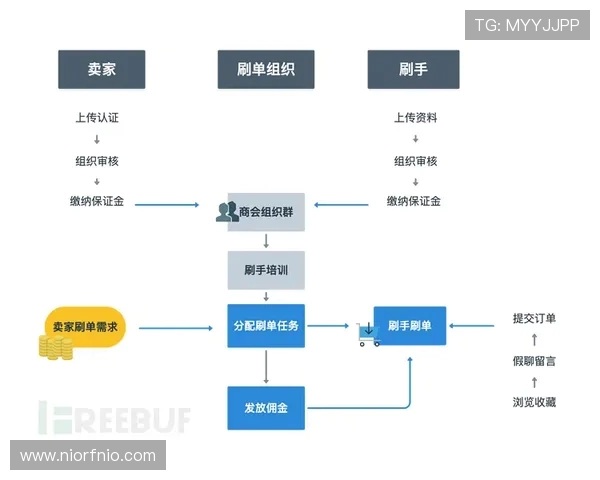 重庆飞盘队的成功运营模式与发展策略深度解析