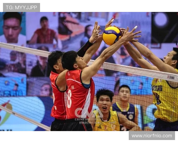 阿根廷与巴西排球对决激情碰撞谁能笑到最后