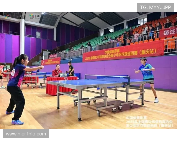 广州乒乓球队的速度之美与技艺探秘，助力乒乓球运动的蓬勃发展